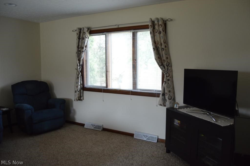 Brimfield - Residential