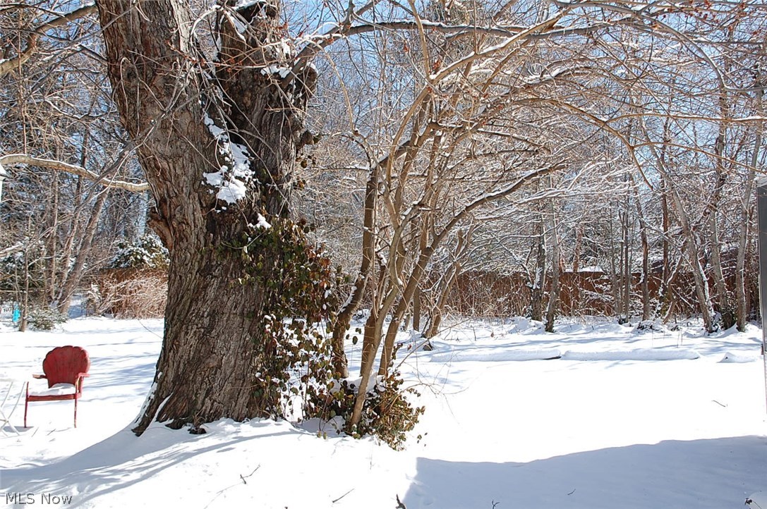 Rockport - Residential Lease