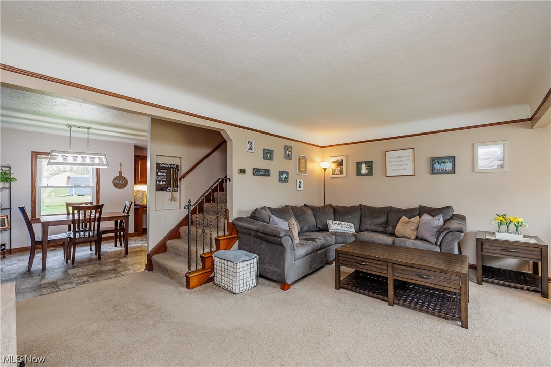 Filipowicz Allotment - Residential