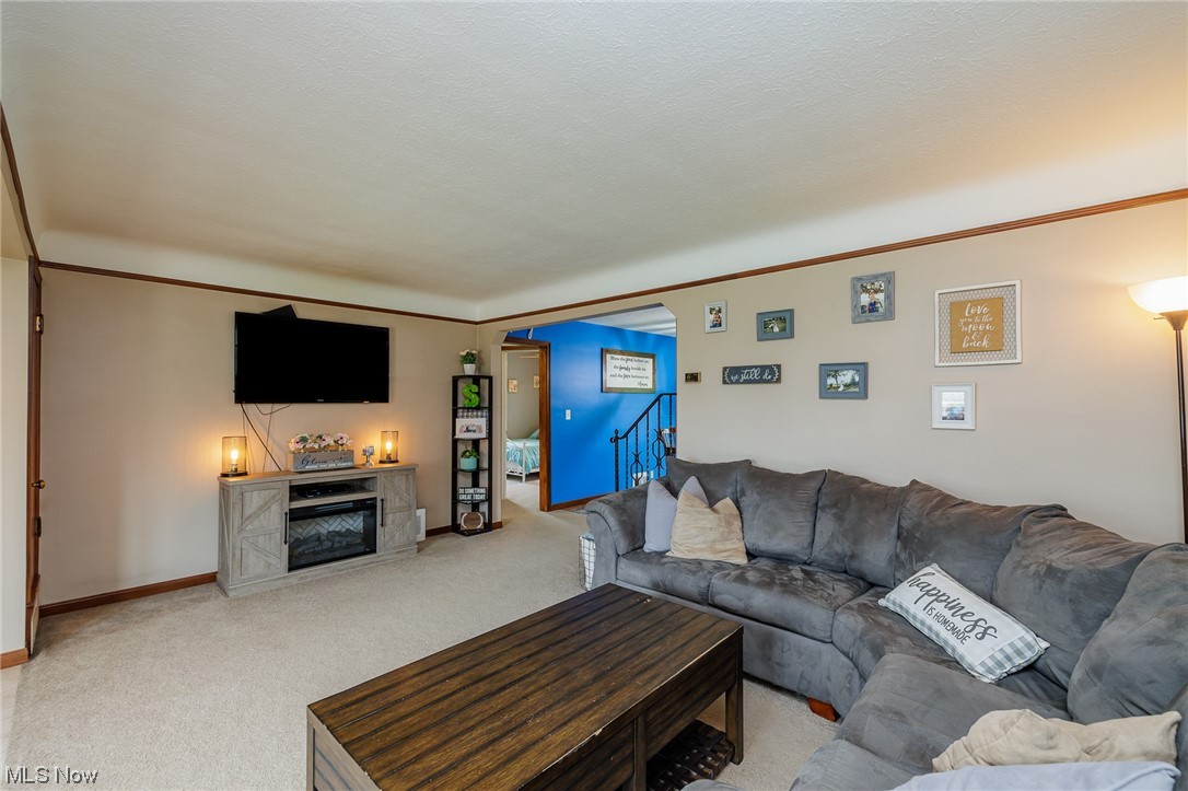 Filipowicz Allotment - Residential