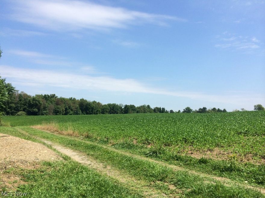 50.8 acres in a great location close to Atwood Lake. No Mineral Rights Included.