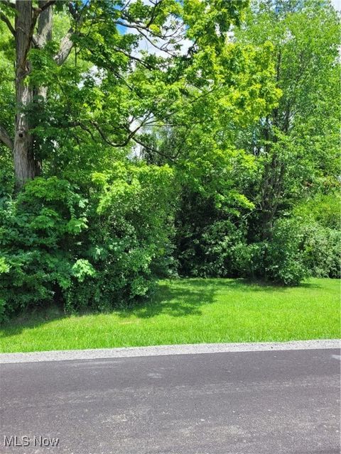 Vacant Land For Sale - Townsend Avenue<br/> Youngstown, OH 44505