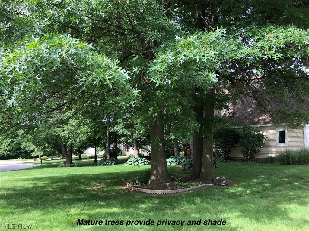 Willow Ridge - Residential Lease