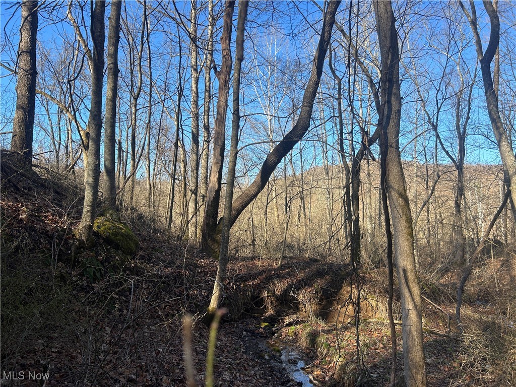Creek Road, Beverly, Ohio image 5