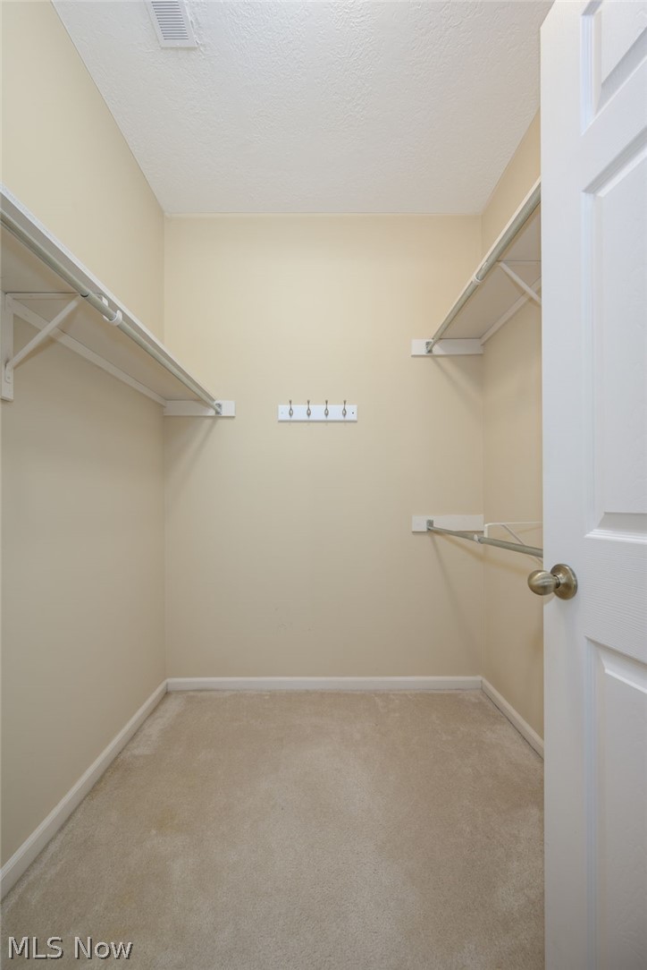 Forest Trail - Residential