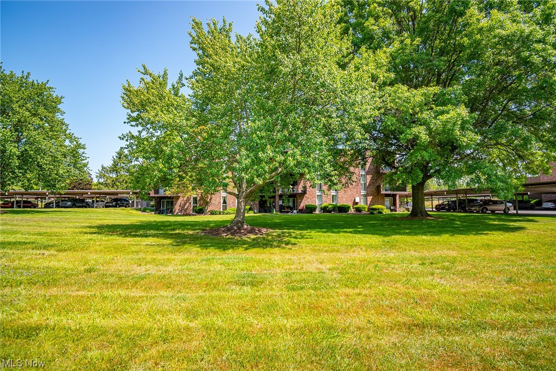 Terrace North Condo - Residential