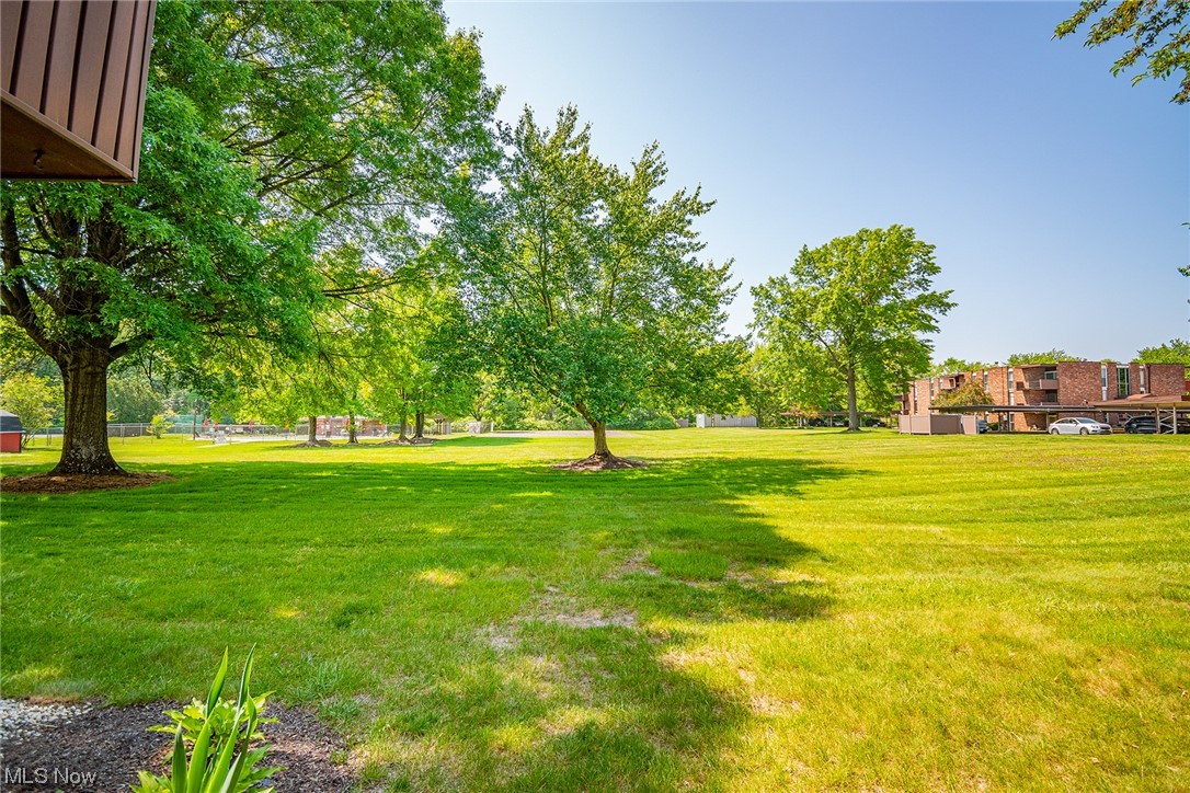 Terrace North Condo - Residential