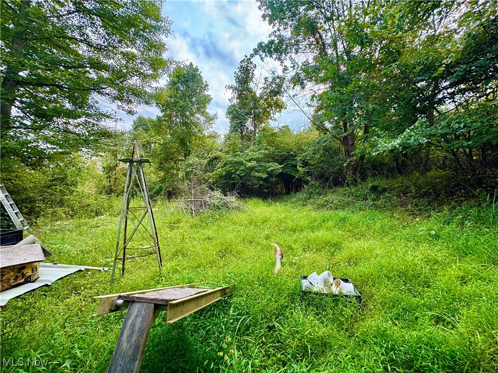 Donald Ethell & Betty L Dillon - Land