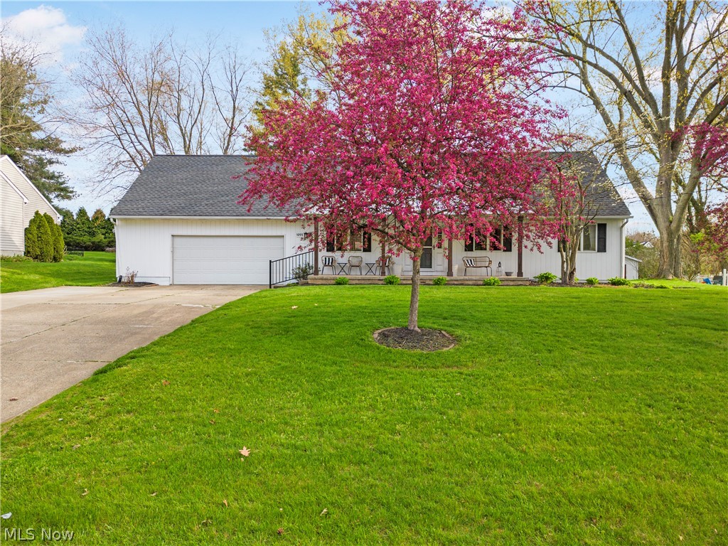 Eastwoods Allotment 01 - Residential