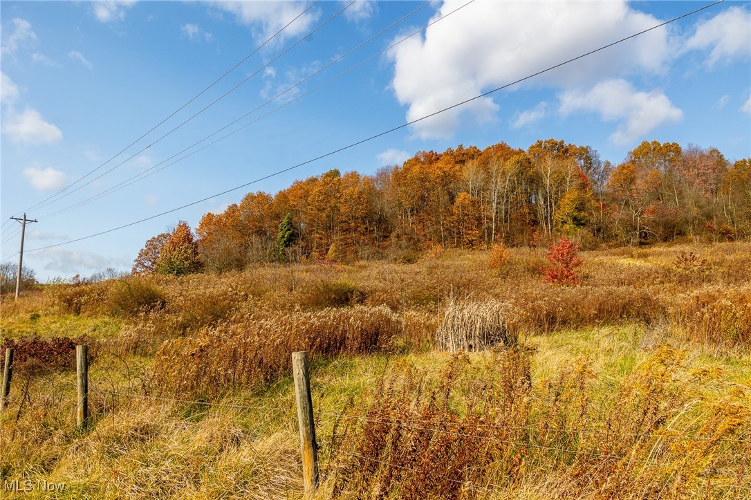 17180 Kedigh Hollow Road, Newcomerstown, Ohio image 2