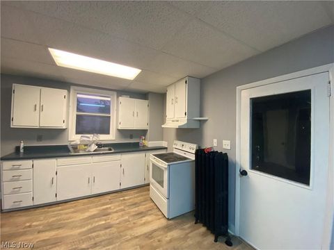 Tiny photo for 30 S Middle Street, Columbiana, OH 44408 (MLS # 5188273)