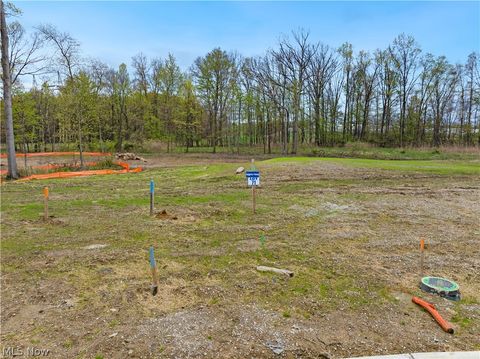 Tiny photo for 9524 River Birch Run, Brecksville, OH 44141 (MLS # 5207659)