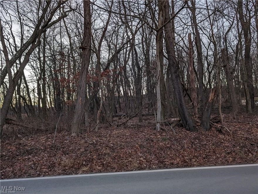 This beautiful one acre wooded lot with two right of ways included, offers the opportunity to attain your dreams!