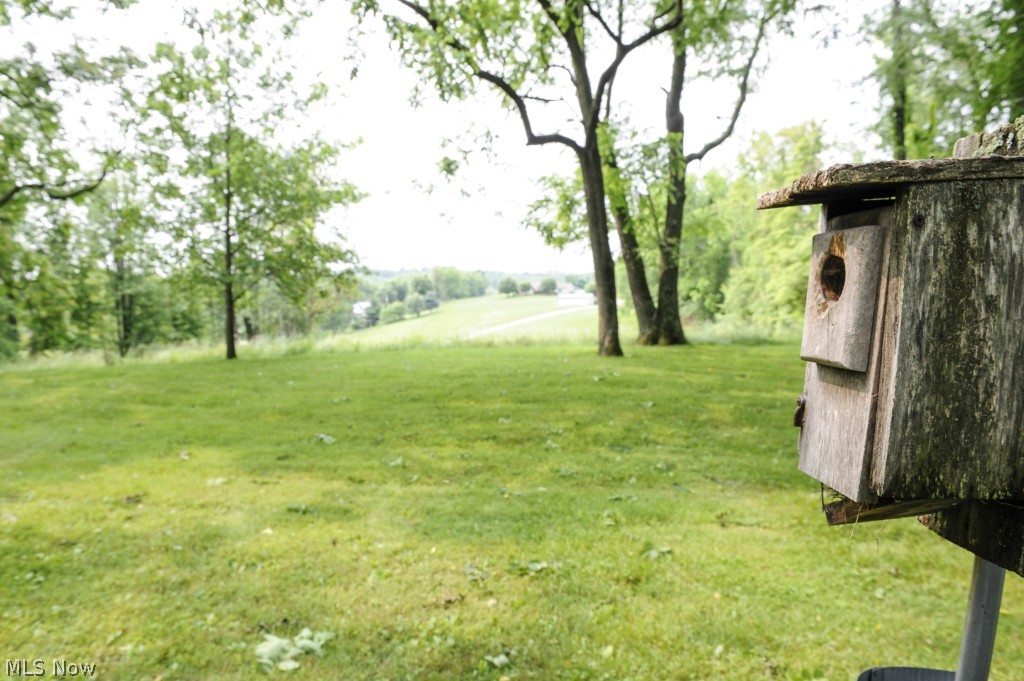 Walnut Hills - Residential