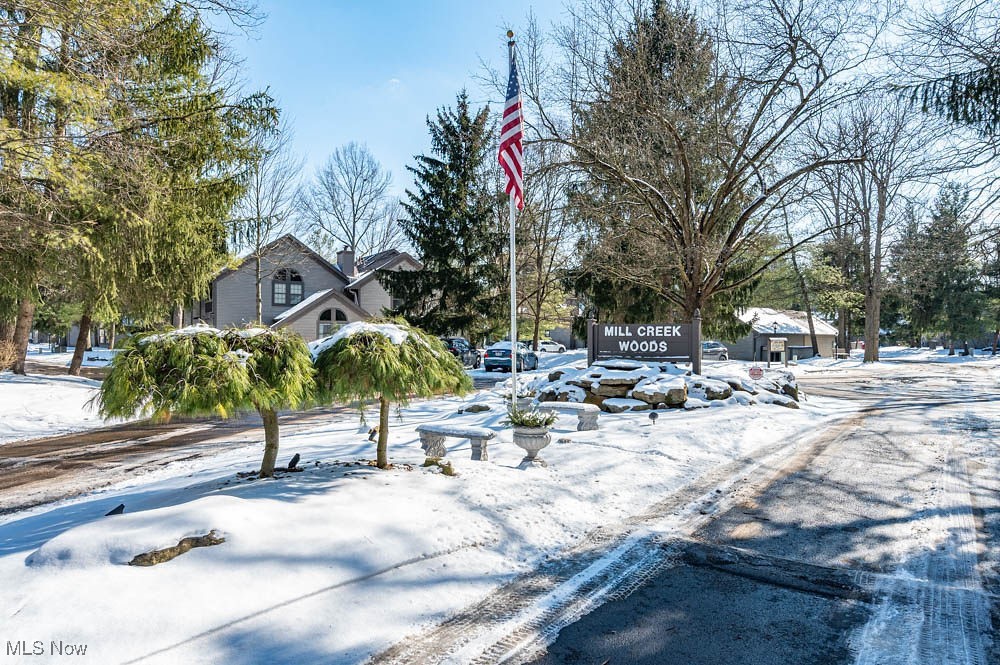 1323 Red Tail Hawk Court #1, Youngstown, Ohio image 36