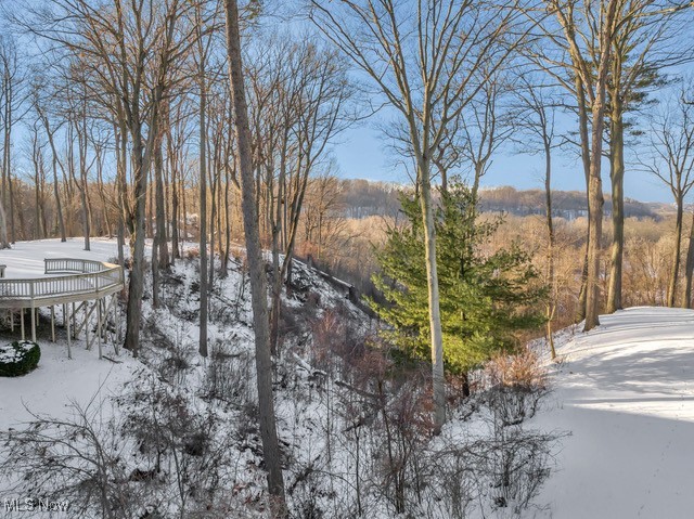 4670 Figgie Drive, Willoughby, Ohio image 49