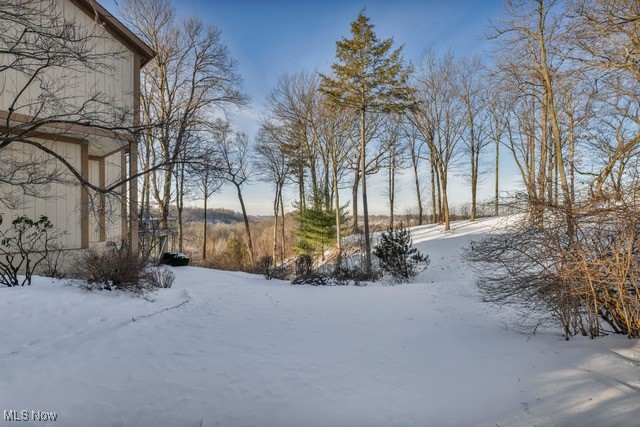 4670 Figgie Drive, Willoughby, Ohio image 47
