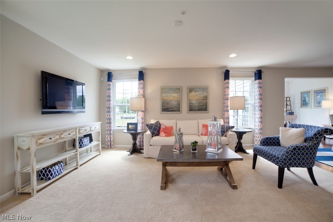 Meadow View - Residential