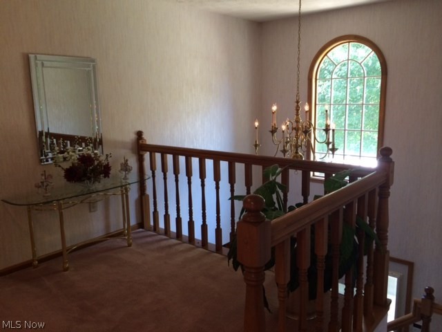 Shepherds Hill Allotment 08 R - Residential