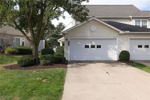 4234 River Ridge Drive, Cleveland, OH 44109 - #: 5154788