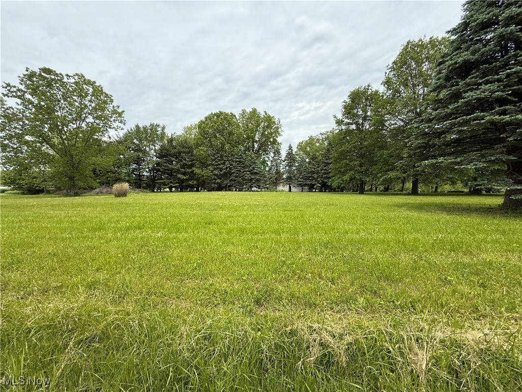 Morgan Drive, Doylestown, Ohio image 1