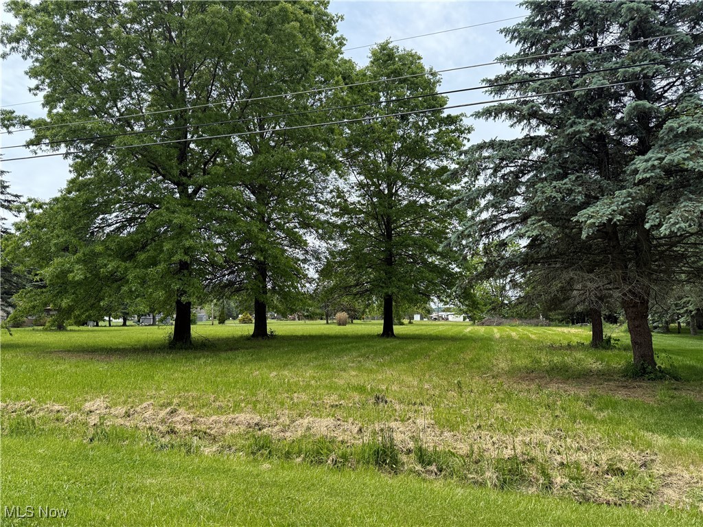 Morgan Drive, Doylestown, Ohio image 2
