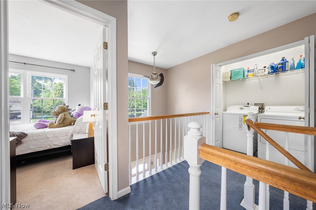 Meadowood Allotment - Residential