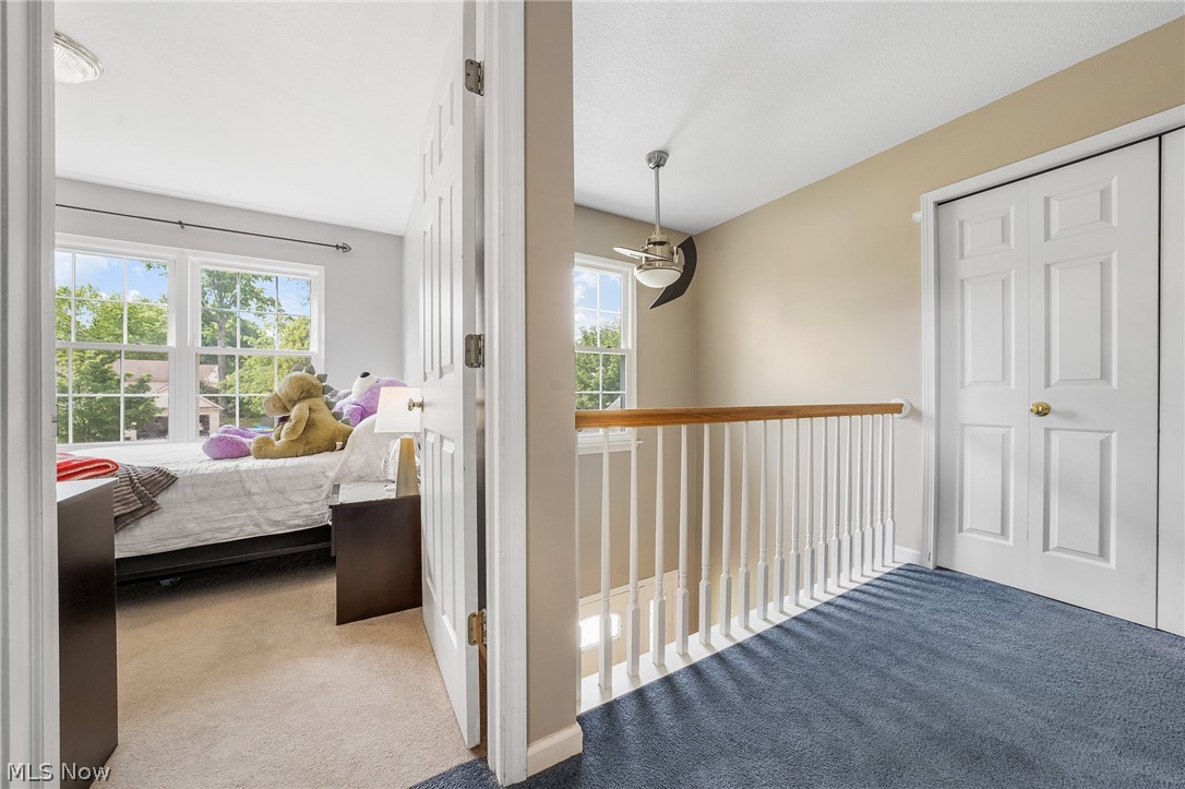 Meadowood Allotment - Residential