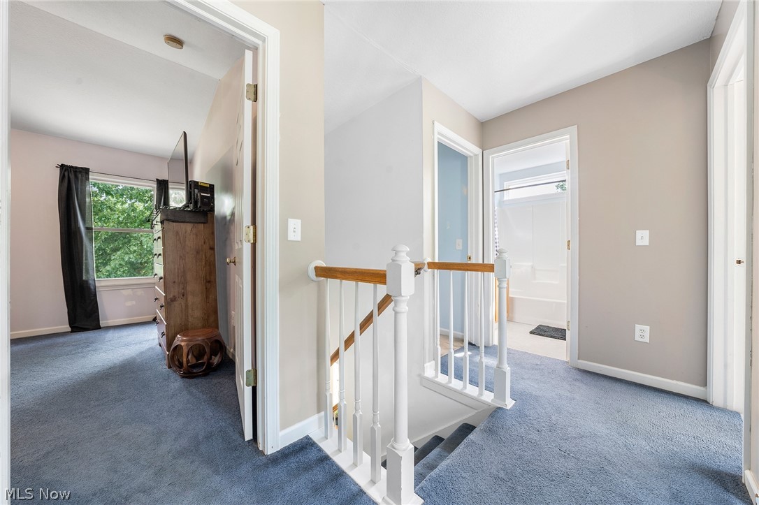 Meadowood Allotment - Residential