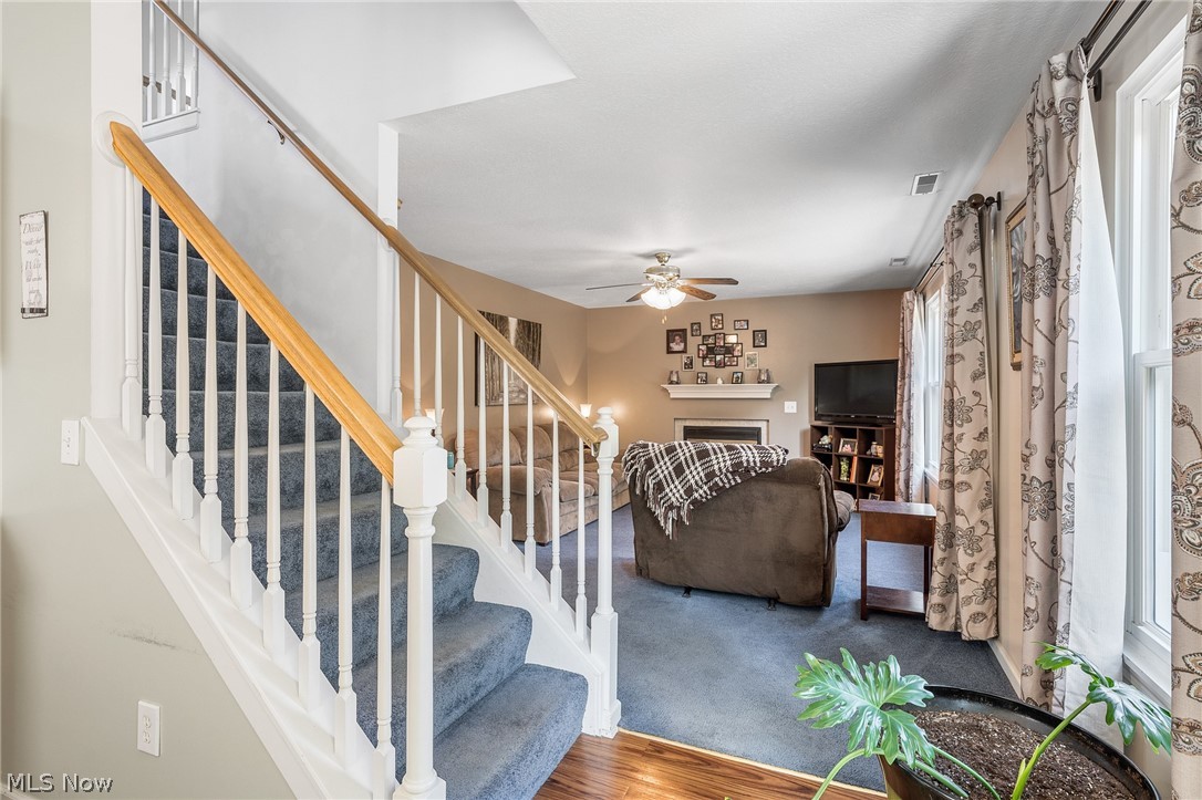 Meadowood Allotment - Residential