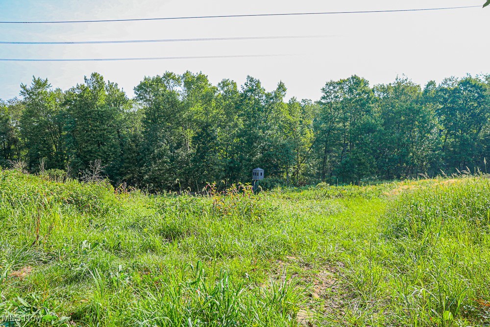 Reef Road, Mechanicstown, Ohio image 9