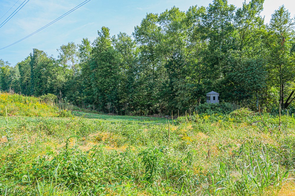 Reef Road, Mechanicstown, Ohio image 7