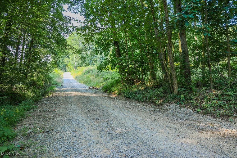 Reef Road, Mechanicstown, Ohio image 17