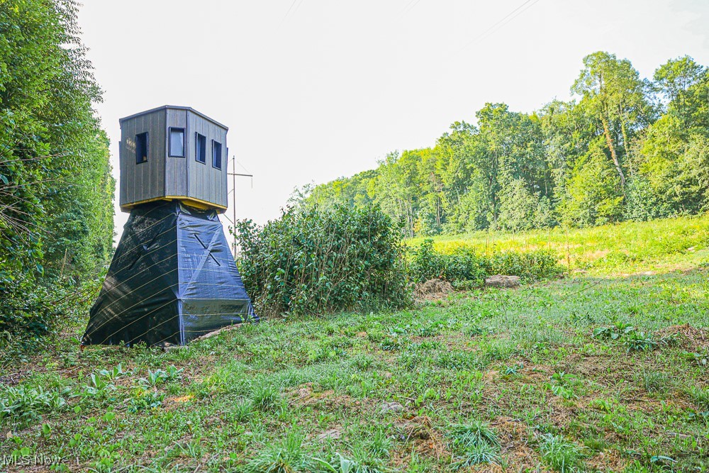 Reef Road, Mechanicstown, Ohio image 6