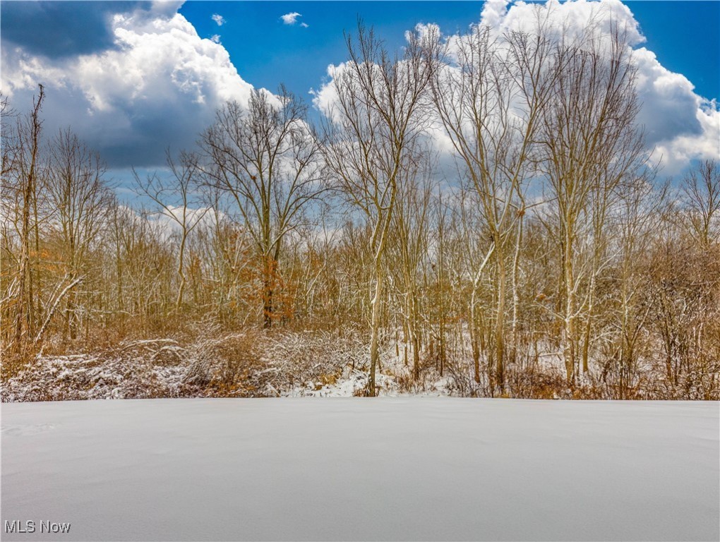 Creekside Rdg Conservation PUD - Residential