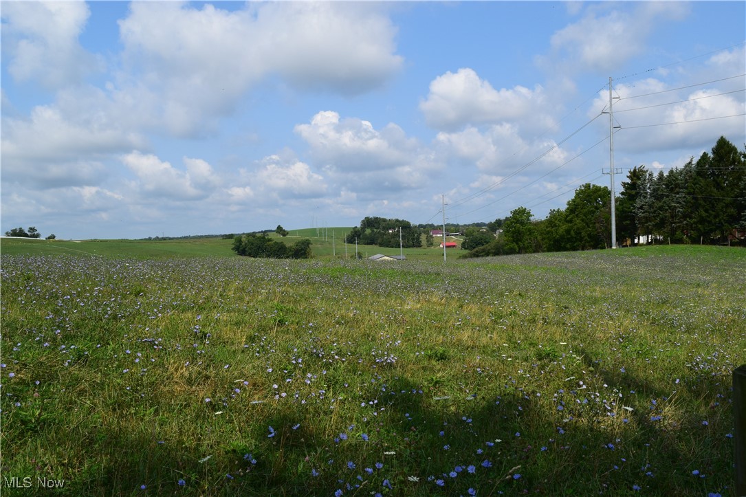 42190 Belmont Centerville Road, Belmont, Ohio image 35