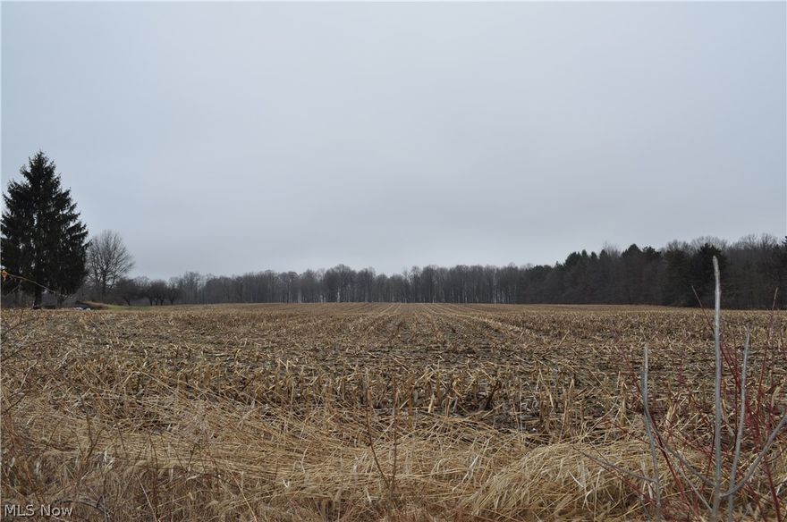 Beautiful setting to build your dream home, on just under 10 acres of flat land.  Back of this parcel is tree lined & would make a lovely spot to construct your new home.  A little country living and this plot is not too far from the city.  Property is currently being used to grow corn or soy beans.  Land is cleared and serves as a blank canvass for you to design your next home.