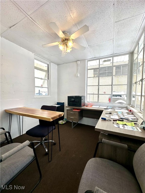 Niles City - Commercial Sale