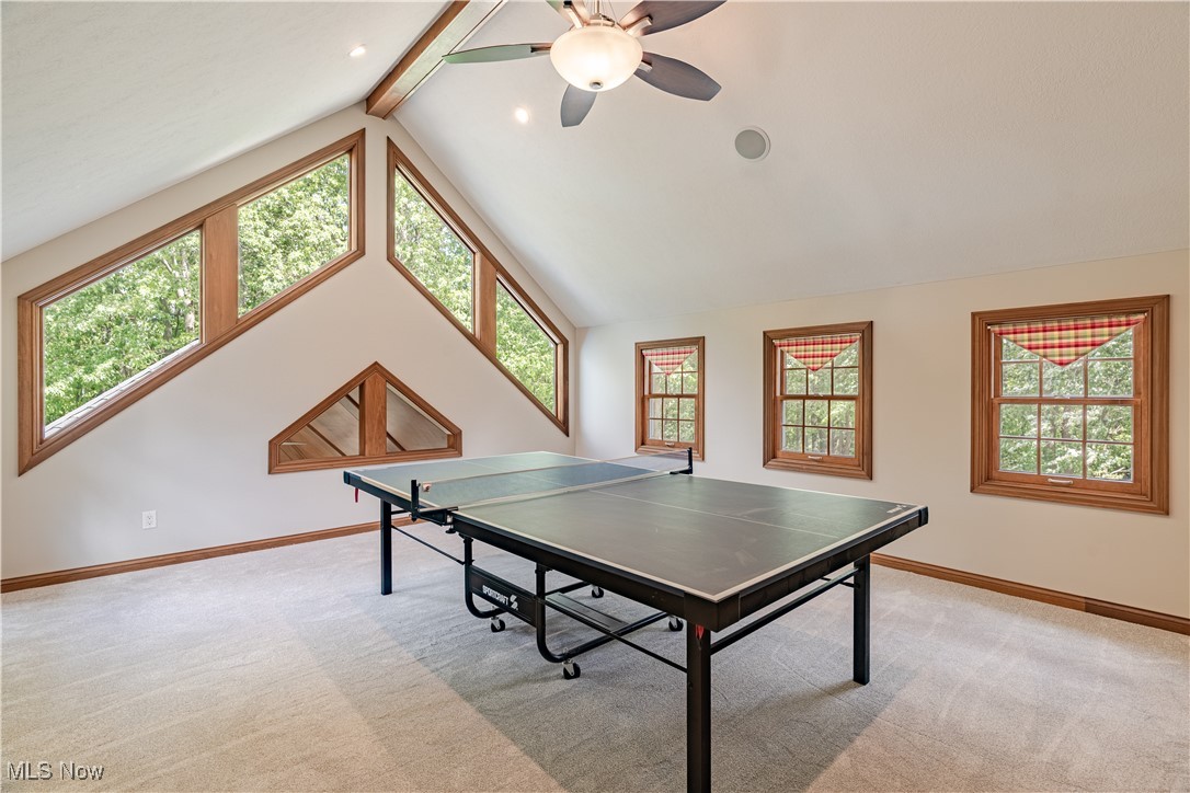 3283 Truxton Place, Avon, Ohio image 28