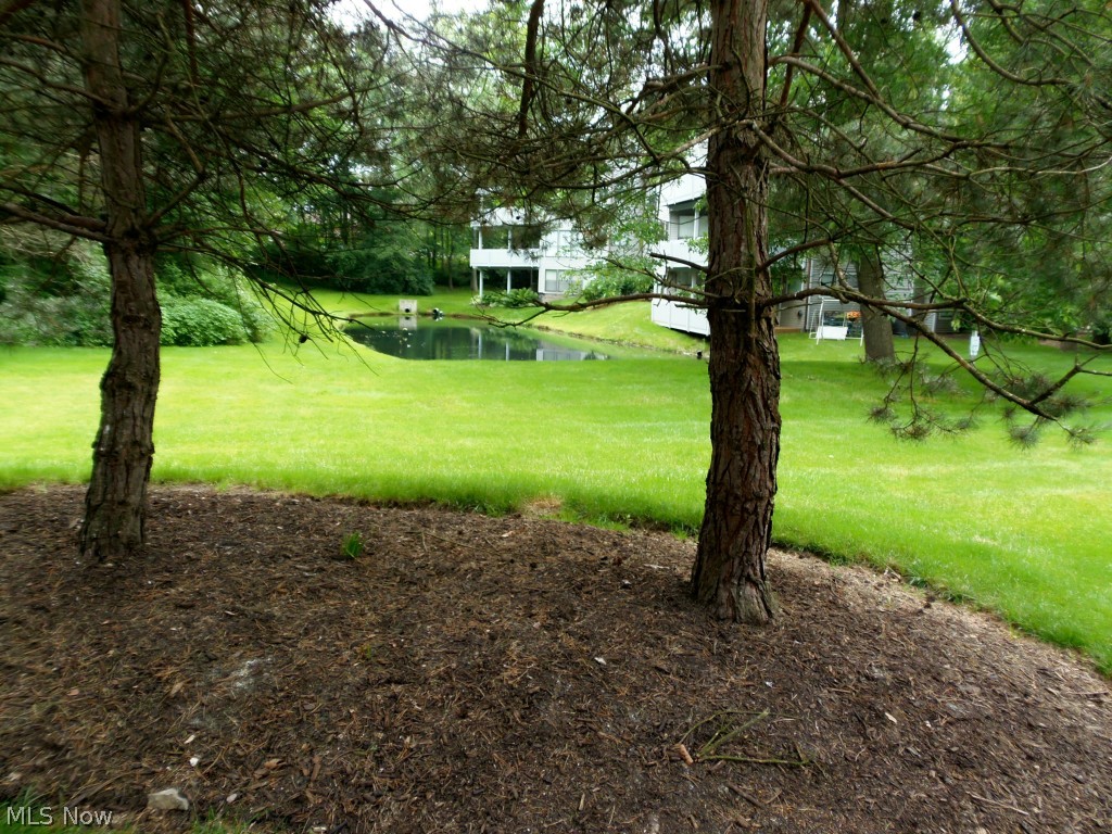 Forest Cove East Condo - Residential