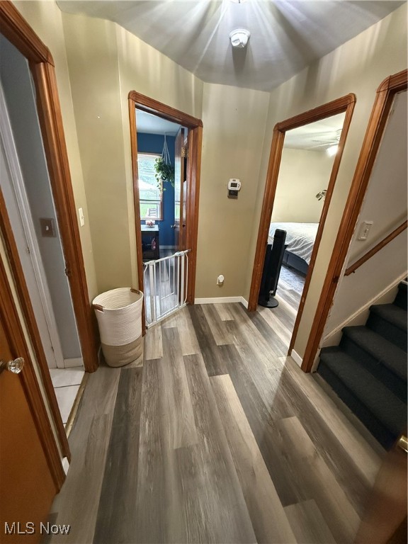 7511 Jameson Road, Parma, Ohio image 13