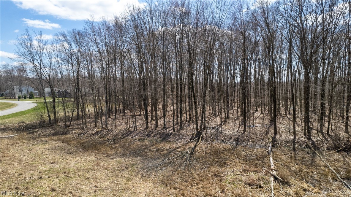 Russell Ridge - Land