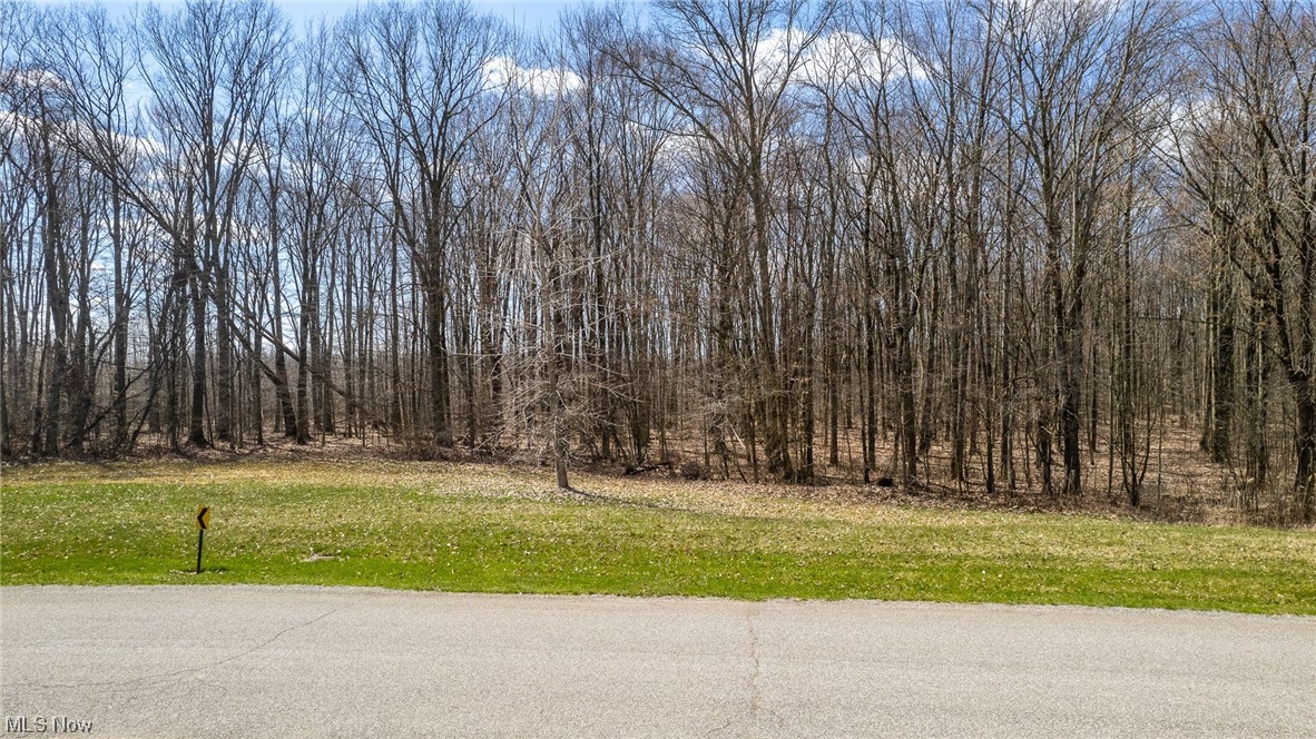 Russell Ridge - Land