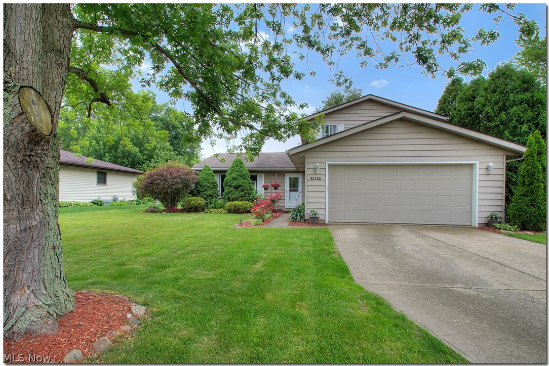 Dorchester Mdow Sub - Residential