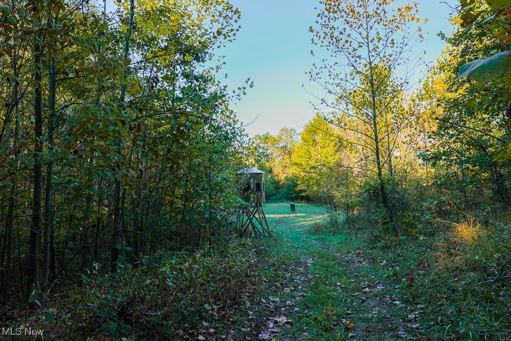 Baughman Run Road, Roseville, Ohio image 19