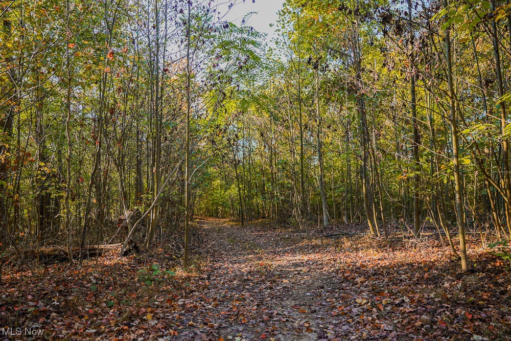 Baughman Run Road, Roseville, Ohio image 17