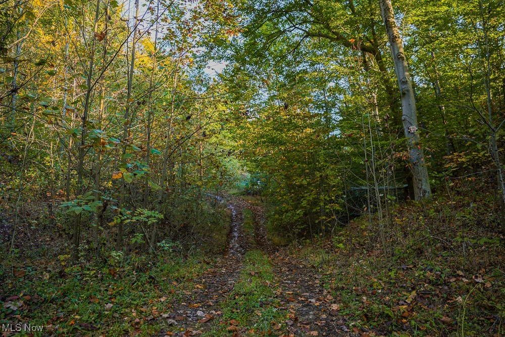 Baughman Run Road, Roseville, Ohio image 11