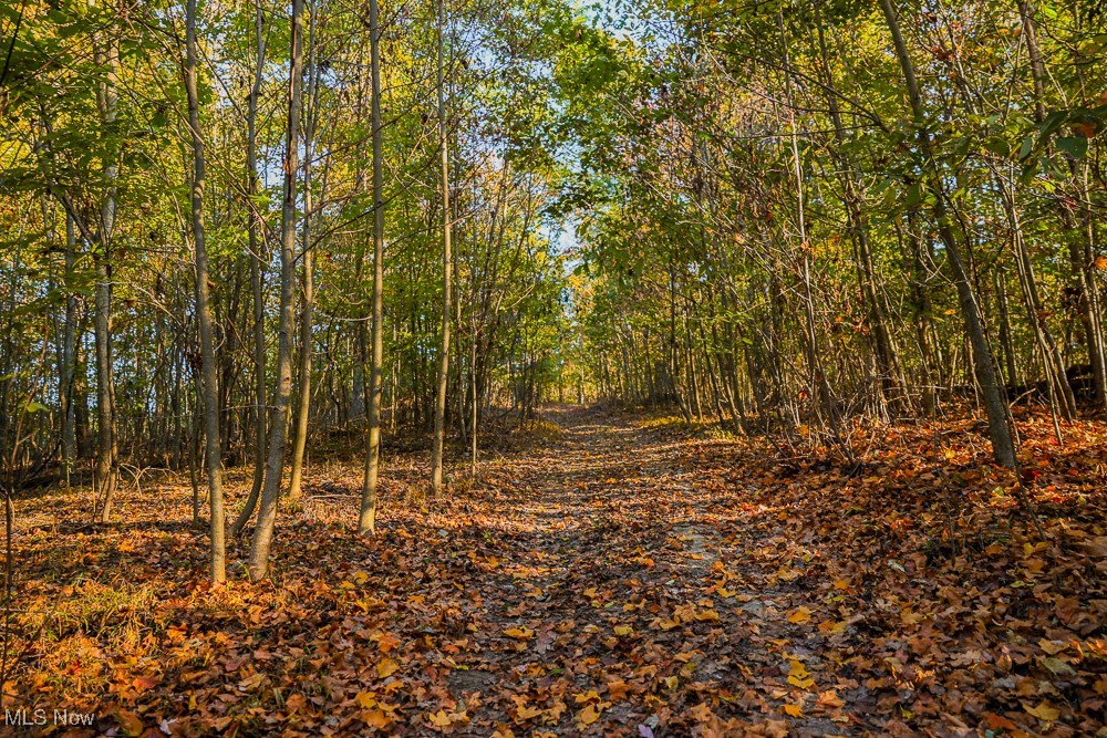 Baughman Run Road, Roseville, Ohio image 15