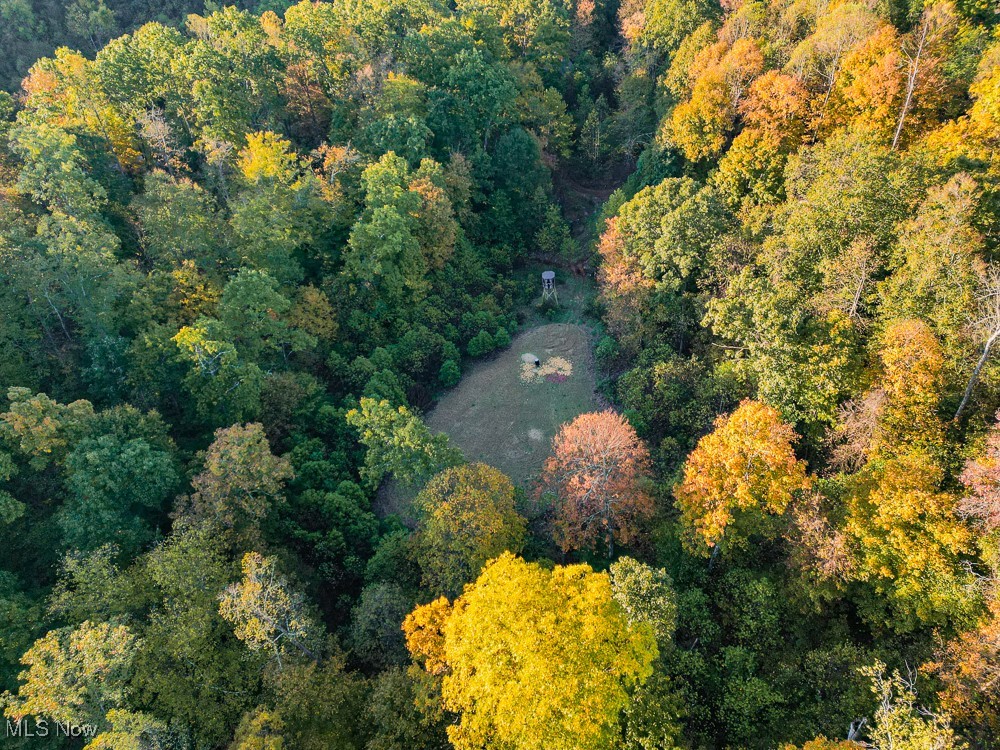 Baughman Run Road, Roseville, Ohio image 36