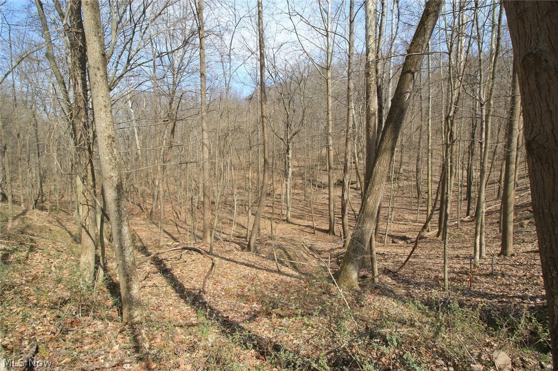 Deerwoods - Residential